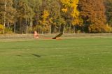 Segelflugwettbewerb 20121021-9